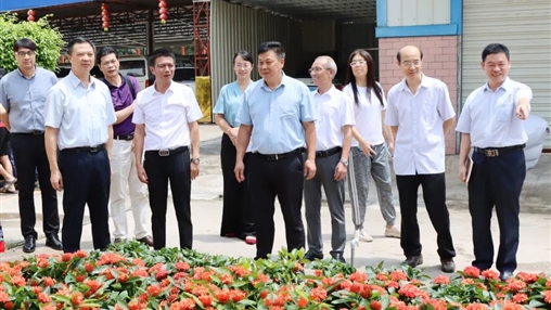 自治區(qū)政協(xié)常委、梧州市政協(xié)主席黃振饒蒞臨百裕集團(tuán)走訪調(diào)研